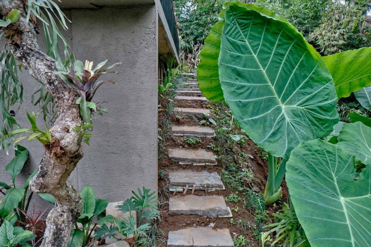 Gek House Ubud Exteriör bild